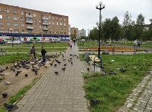 Современный Вуктыл